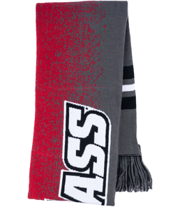 umass scarf