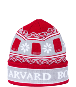 beanie 3