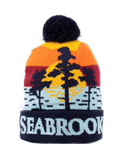 beanie 12 new