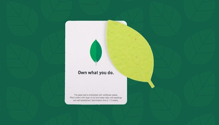 Mongo DB seed kit with text saying own what you do