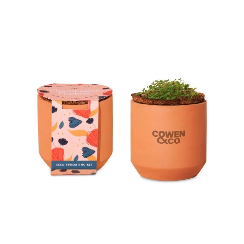 modern sprout tiny terracotta grow kit champagne poppies