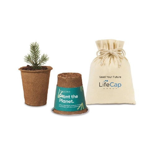 Modern Sprout® One For One Tree Kits in front