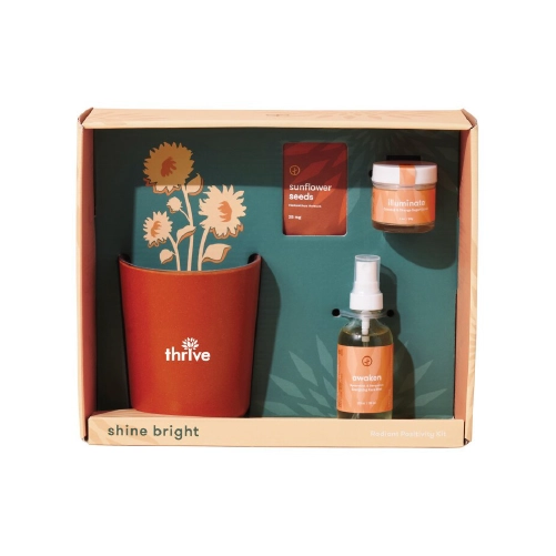 Modern Sprout® Shine Bright Take Care Kit - Sunflower in front