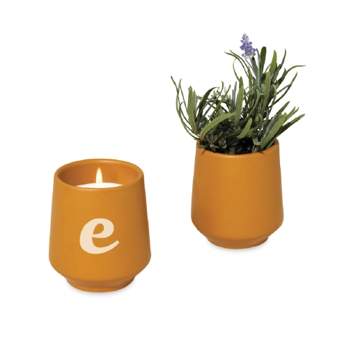 Modern Sprout® Rooted Candle in front